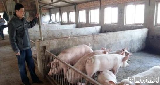 中国养猪成本9元/斤，美国养猪成本4元/斤，为何中国养猪成本偏高 - 中国养殖网