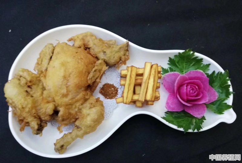 用鸡肉可以做出哪些惊艳且精致的美味 - 中国养殖网