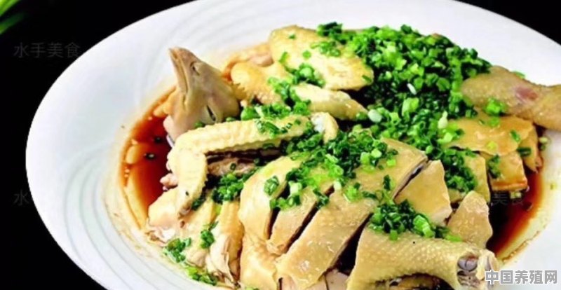 用鸡肉可以做出哪些惊艳且精致的美味 - 中国养殖网
