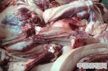 怎么识别土猪土鸡 - 中国养殖网