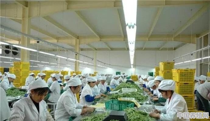 农村农业将来也是发展趋势，你们怎么看 - 中国养殖网