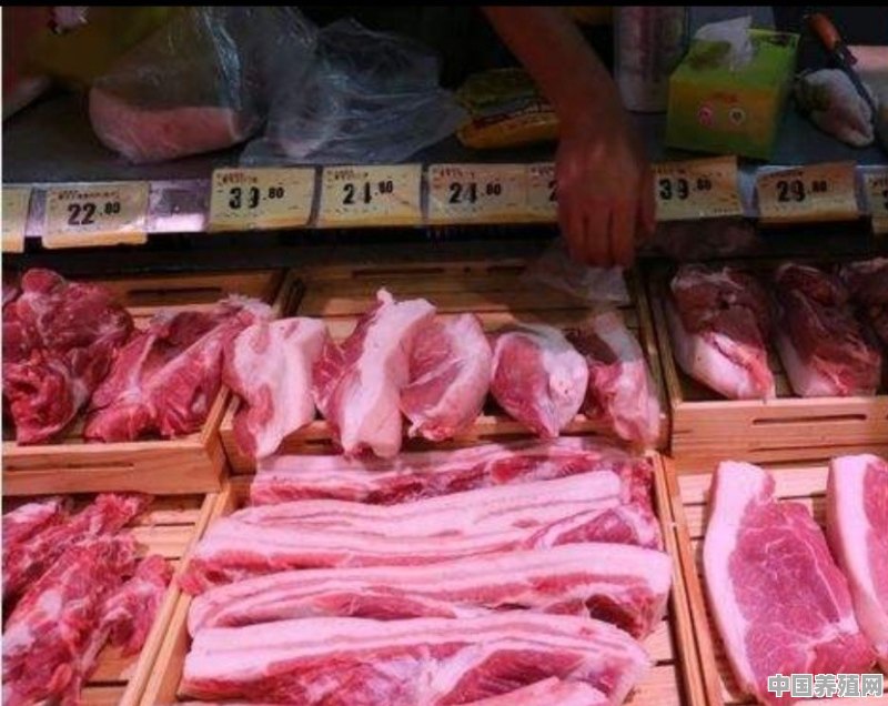 余庆一肉贩花1000元买来一头母猪，拉到市场准备售卖，结果被罚26万，拘留15日, 你怎么看 - 中国养殖网