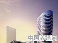 重庆骨科医院排名 - 中国养殖网