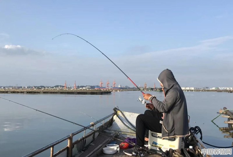 海钓对钓鱼的技术有哪些要求 - 中国养殖网