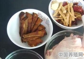 灵芝炖鸡的做法步骤图，灵芝炖鸡怎么做好吃 - 中国养殖网