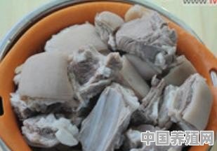 为什么“鱼”加“羊”就是“鲜” - 中国养殖网