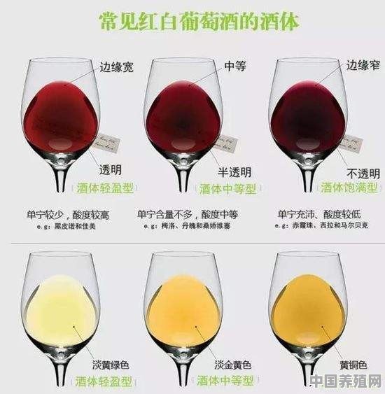 葡萄酒大概有哪几种口味？哪种口感好 - 中国养殖网