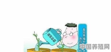 如何申办养殖补贴 - 中国养殖网