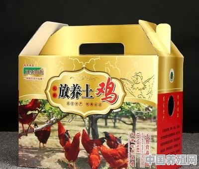 想问一下土鸡做电商怎么去保存运送 - 中国养殖网