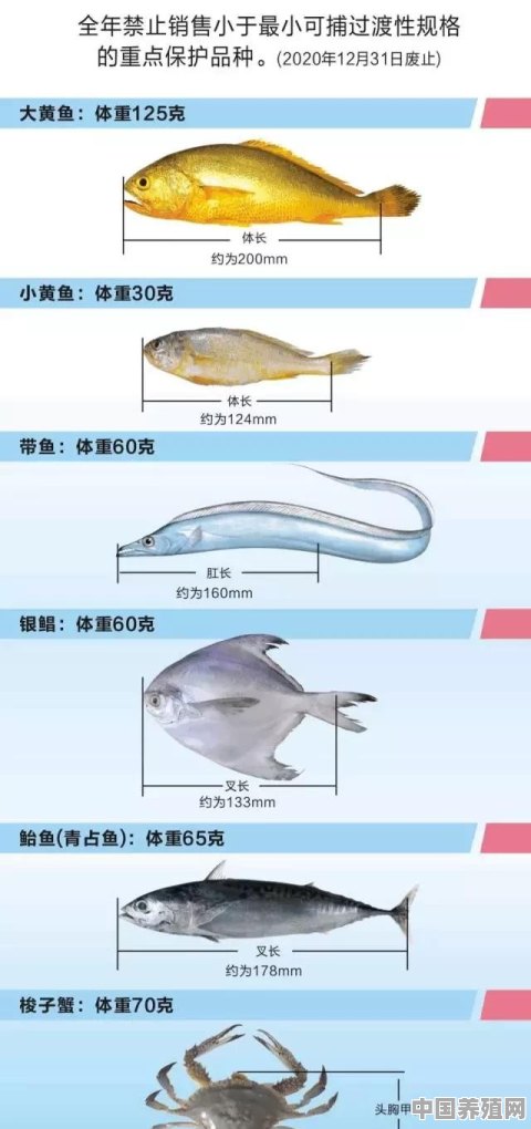 中国有什么好吃的海鱼 - 中国养殖网