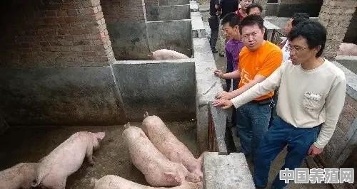 农村俗语“猪大三百斤，鱼大无秤称”是何意思？为何现在“大鱼”少见了 - 中国养殖网