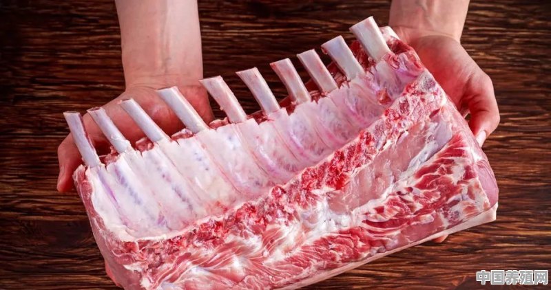 进口美国猪肉会不会带来新冠肺炎病毒 - 中国养殖网