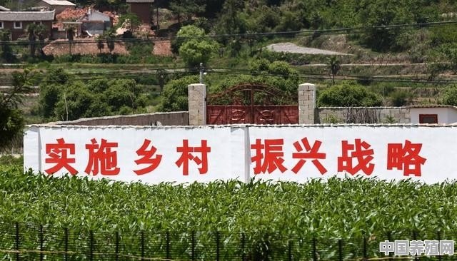 农村荒田怎么处理 - 中国养殖网