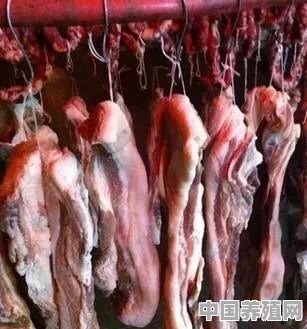 怎样做咸肉 - 中国养殖网