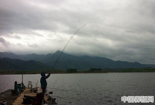青岛有哪些可以钓鱼的地方 - 中国养殖网