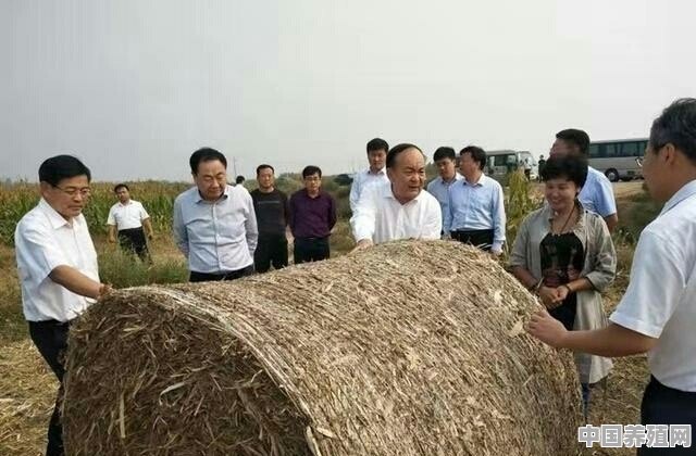 农村准备春耕，秸秆不让烧地就种不上，应该怎么解决比较合适 - 中国养殖网