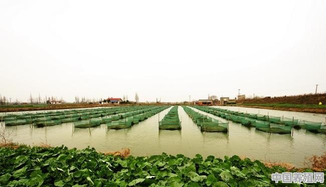 想尝试水产养殖行业，有能提供专业指导的吗 - 中国养殖网