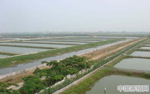 想尝试水产养殖行业，有能提供专业指导的吗 - 中国养殖网