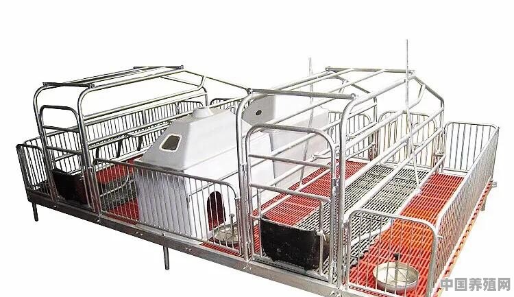 养猪场一般需要哪些养猪设备 - 中国养殖网