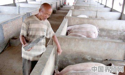 凉凉！生猪养殖行业进入“寒冬”，养猪人的春天何时到来 - 中国养殖网