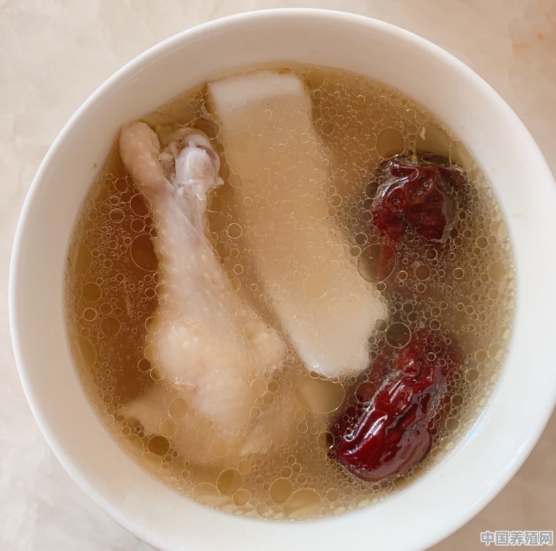 鸡腺胃炎要怎么治疗 - 中国养殖网