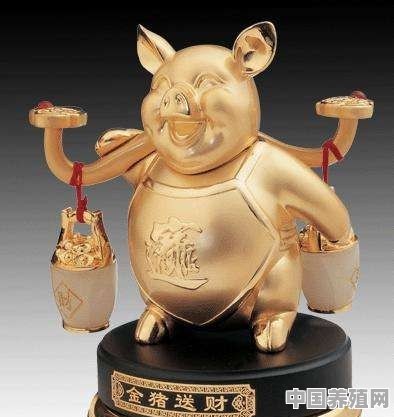 2019是猪年，小散户养猪还能抱到“金猪”吗 - 中国养殖网