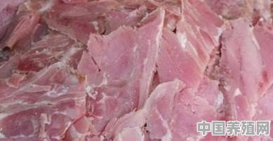 宁陵坨子羊肉是一道什么样的美味呢 - 中国养殖网