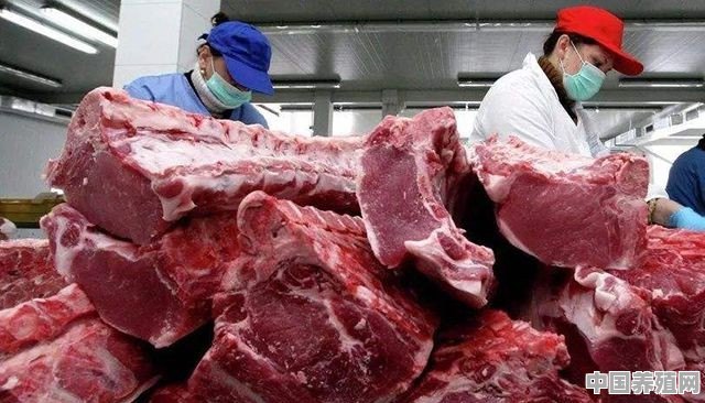 美国现在疫情严重，我们进口他们的猪肉？安全有保证吗 - 中国养殖网