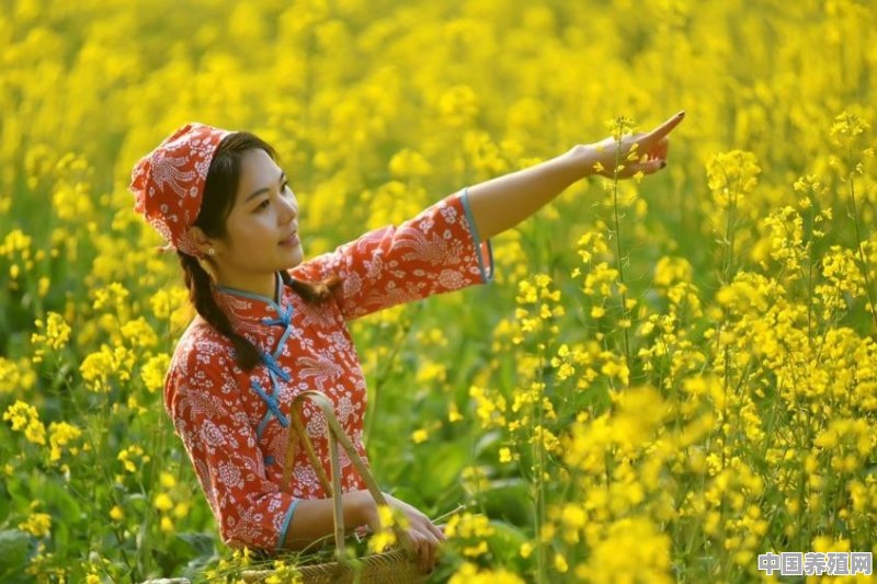 怎样把花拍出新意 - 中国养殖网