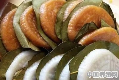 阳江有什么好玩的地方、好吃的特产 - 中国养殖网
