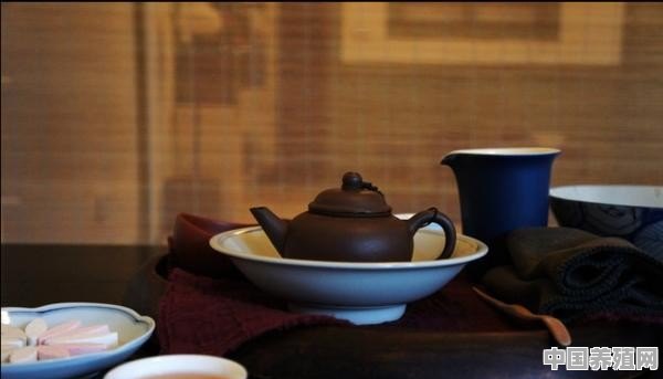 台北有哪些评价高的茶馆 - 中国养殖网