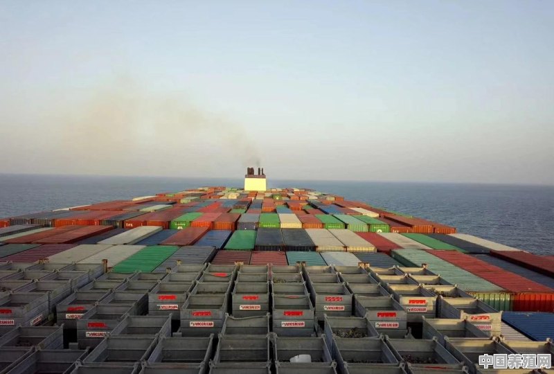 全球最大的货轮，最久要多长时可以间装满一船货物 - 中国养殖网