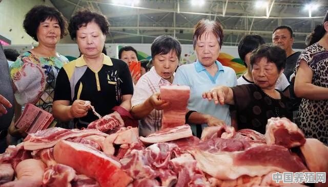2022年春节猪价能否上涨？猪肉估计多少钱一斤 - 中国养殖网