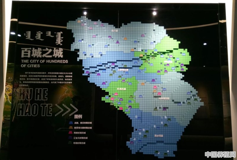 你对家乡呼和浩特的发展有什么期待 - 中国养殖网
