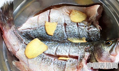 农村一些地方有句俗话叫“鱼不相蒜”，为什么煮鱼的时候不能放蒜 - 中国养殖网