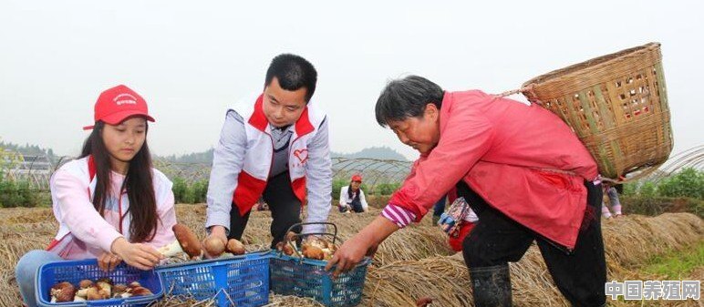 在农村做点什么生意可以赚钱 - 中国养殖网