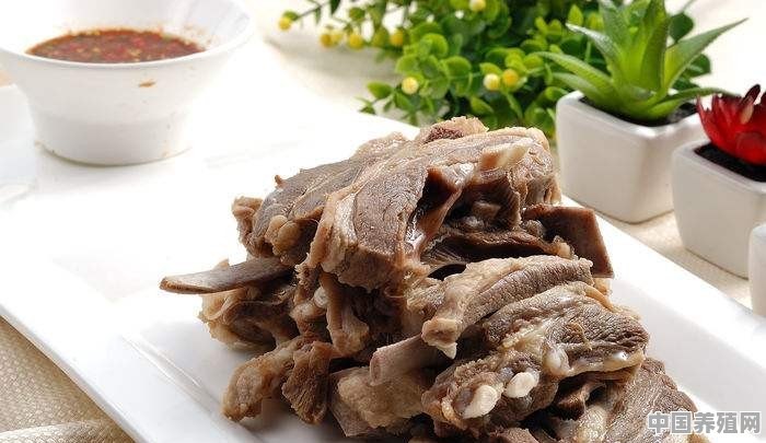 内蒙古的肉羊一般都是什么品种?哪种更好吃 - 中国养殖网