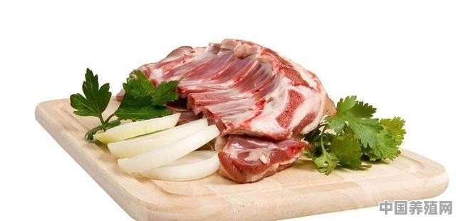 内蒙古的肉羊一般都是什么品种?哪种更好吃 - 中国养殖网