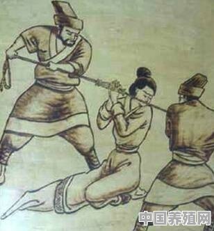 古代有哪些极其残忍的酷刑，让犯人生不如死，慢慢折磨死去 - 中国养殖网