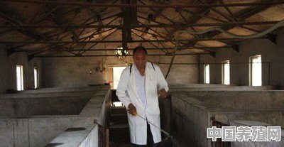11月13日，云南腾冲发生非洲猪瘟疫情，养殖户冬天怎么防控才能保证猪场安全 - 中国养殖网