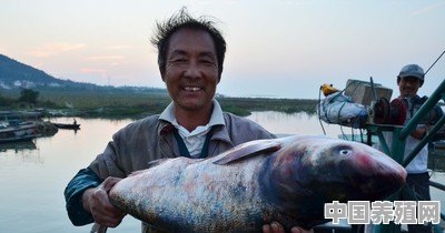 花鲢鱼养殖技术 - 中国养殖网