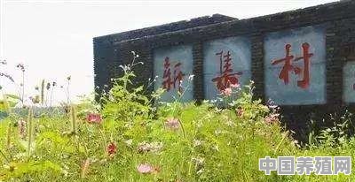 信阳明港镇是河南最牛的镇吗 - 中国养殖网