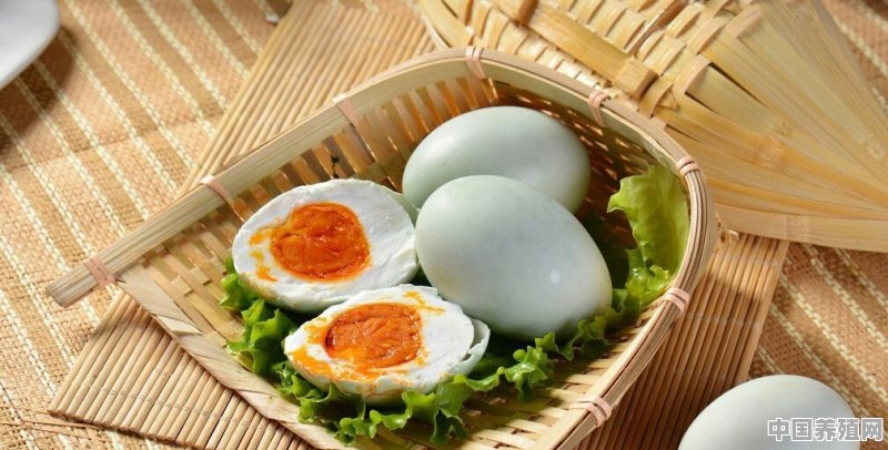 散养的鸭子蛋黄偏红是什么情况 - 中国养殖网