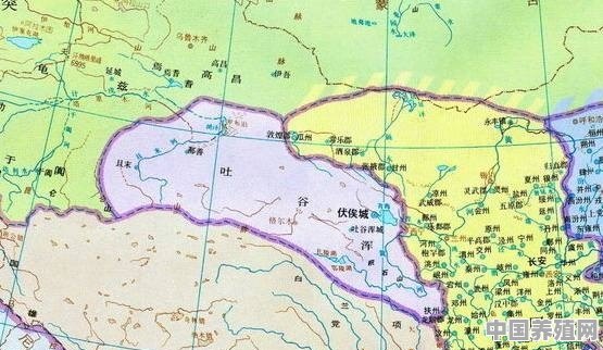 吐谷浑是土族建的国家吗 - 中国养殖网