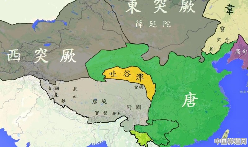 吐谷浑是土族建的国家吗 - 中国养殖网