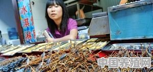 中国十大恐怖食物有哪些 - 中国养殖网