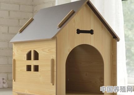 如何在客厅中设计一个“猫屋” - 中国养殖网