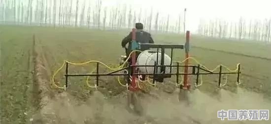牛式插秧机多少钱一台 - 中国养殖网