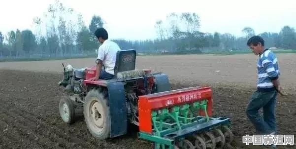 牛式插秧机多少钱一台 - 中国养殖网