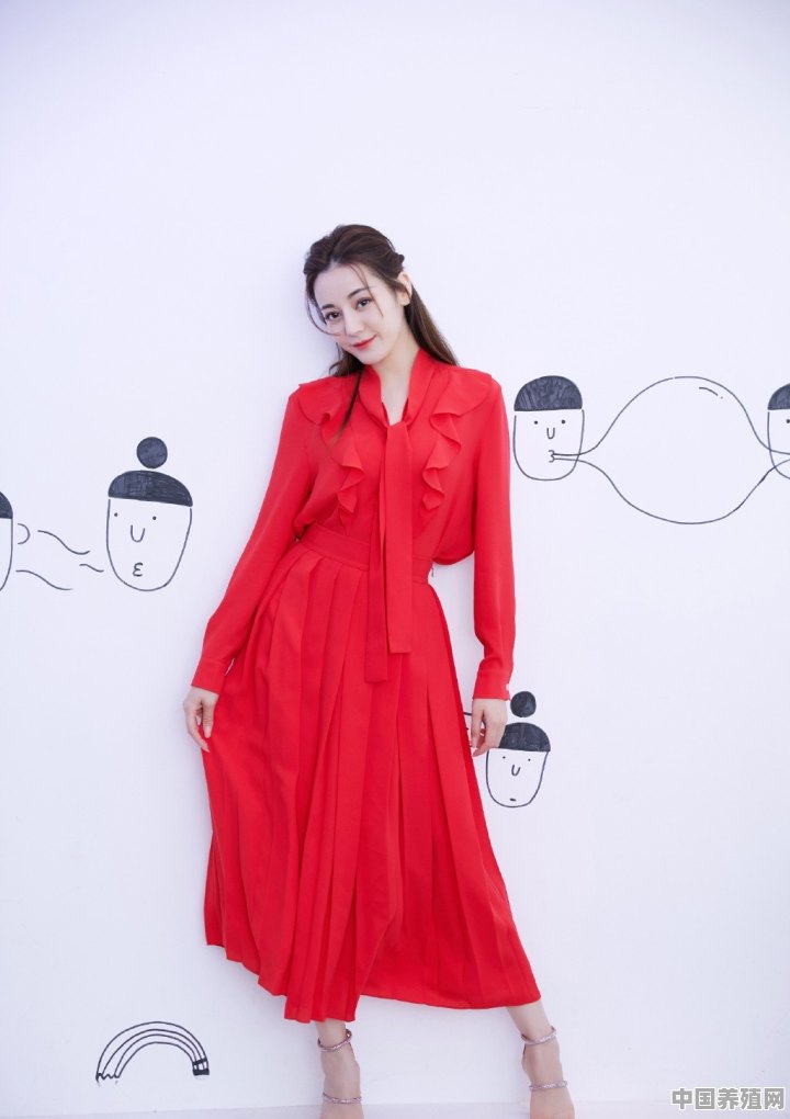 有哪些红裙子比较好看 - 中国养殖网